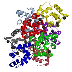 Image of CATH 3fs7