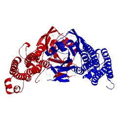 Image of CATH 3fse