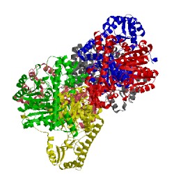 Image of CATH 3fsl
