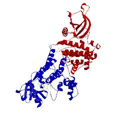 Image of CATH 3fup