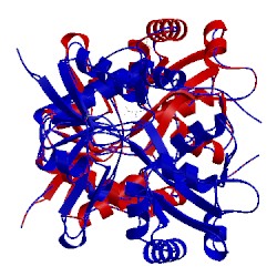 Image of CATH 3fuz