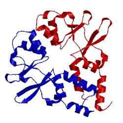 Image of CATH 3fv6