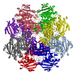 Image of CATH 3fv9