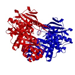 Image of CATH 3fvd