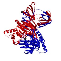 Image of CATH 3fvq