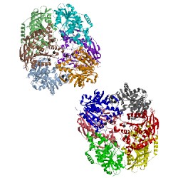 Image of CATH 3fvr