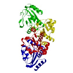 Image of CATH 3fw2