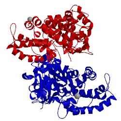 Image of CATH 3fwf