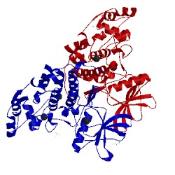 Image of CATH 3fwq