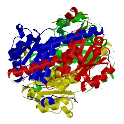 Image of CATH 3fxa