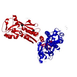 Image of CATH 3fxu