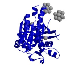 Image of CATH 3fyh