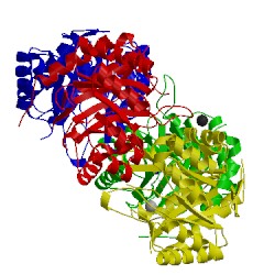 Image of CATH 3fyo