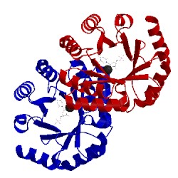Image of CATH 3g1v