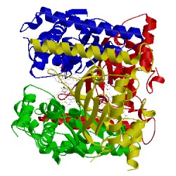 Image of CATH 3g4a