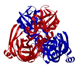 Image of CATH 3g4n