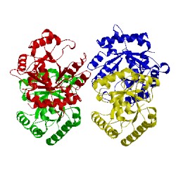 Image of CATH 3gdk