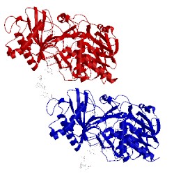 Image of CATH 3gdn