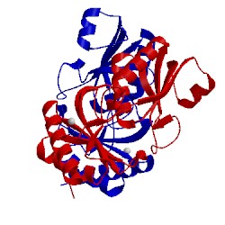 Image of CATH 3gfh