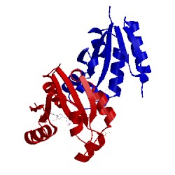 Image of CATH 3glv