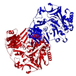 Image of CATH 3gpc