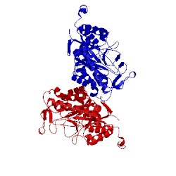Image of CATH 3gr8