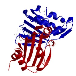 Image of CATH 3grd