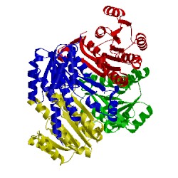 Image of CATH 3grp