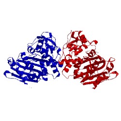 Image of CATH 3gtc