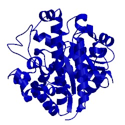 Image of CATH 3gvv