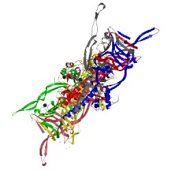 Image of CATH 3gw6
