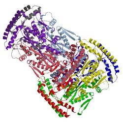 Image of CATH 3gwc