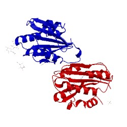 Image of CATH 3gxb