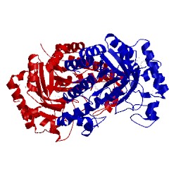 Image of CATH 3gyc