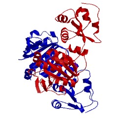 Image of CATH 3gyq