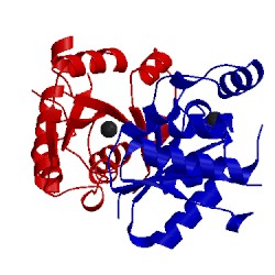 Image of CATH 3h05