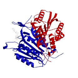Image of CATH 3h0e