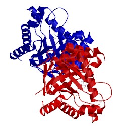 Image of CATH 3h2a