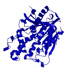 Image of CATH 3h2k