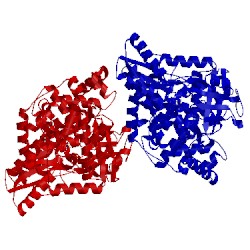 Image of CATH 3h2l