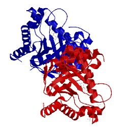 Image of CATH 3h2m