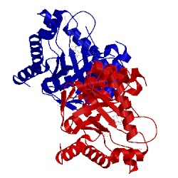 Image of CATH 3h2n