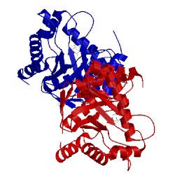 Image of CATH 3h2o