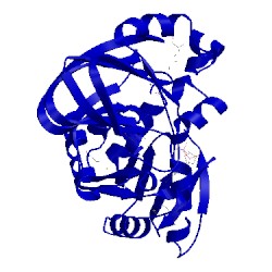 Image of CATH 3h2y