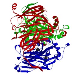 Image of CATH 3h4h