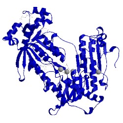 Image of CATH 3h4k