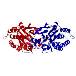 Image of CATH 3h66
