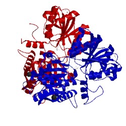 Image of CATH 3h6h