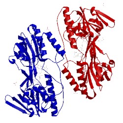 Image of CATH 3h8i