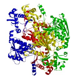 Image of CATH 3h9q